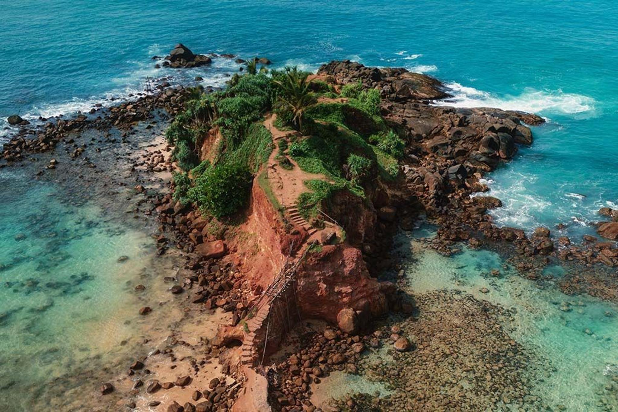 Parrot Rock